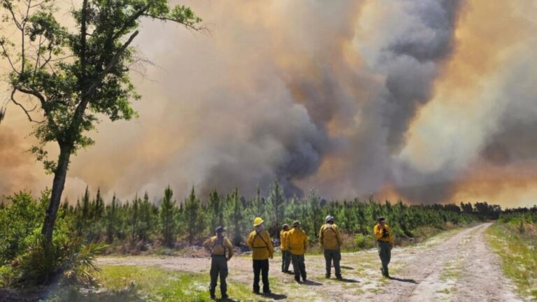 apos-oracoes,-chuva-ajuda-a-conter-incendio-florestal-na-georgia:-“foi-uma-bencao”